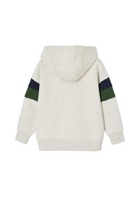 Hooded sweatshirt in light gray, featuring dark green and navy stripes on the sleeves. Soft fabric, relaxed fit, ribbed cuffs and hem.