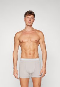 Calvin Klein Underwear TRUNK 5 PACK COTTON STRETCH - Boxerbriefs - ink/plein air/ash/black