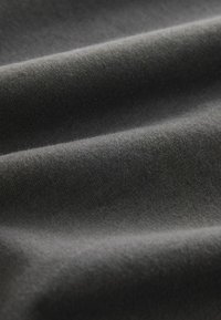 Next REGULAR FIT - HORSES OVERSIZED GRAPHIC  - Trükipildiga T-särk - charcoal grey