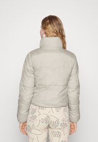 ONLY ONLRICKY REVERSE PUFF JACKET - Veste d'hiver - silver