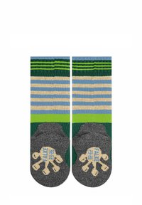 FALKE ACTIVE FROG - Sokken - emerald