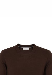 Maglione girocollo in cotone marrone con collo a coste. Texture liscia, design minimalista, con una sottile striscia di accento interna.