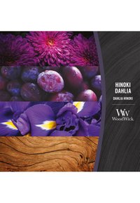 Miniatura obrázku 4