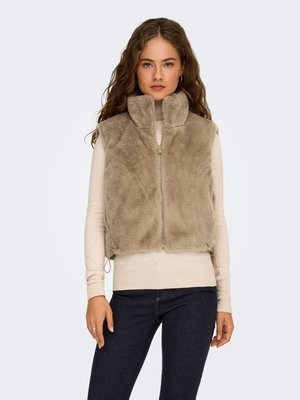 ONLY, ONLDANA - Chaleco - silver mink