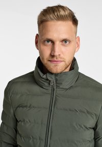 Groene gevoerde jas met een hoge kraag, een voor zipper sluiting en horizontale stikpatronen voor isolatie. Gladde, matte textuur.