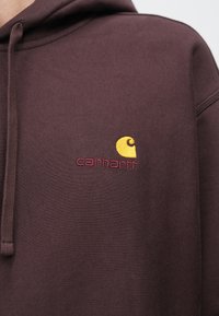 Felpa con cappuccio marrone caratterizzata da una texture morbida, cappuccio con coulisse e logo Carhartt ricamato in giallo e marrone rosso sul petto.
