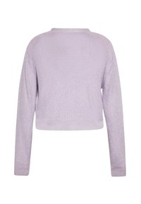 Maglione corto viola chiaro con maniche lunghe, tessuto a maglia testurizzato e un sottile effetto brillante. Collo a giro semplice.