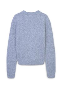 Maglione grigio chiaro, lavorato a maglia, con maniche lunghe, polsini e orlo a coste, e scollatura rotonda. Texture liscia, design semplice, vista posteriore.