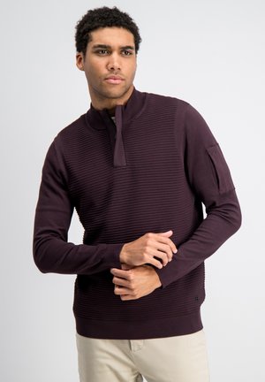 Man met krullend haar die een donkerpaarse geribbelde halve-ritspullover en beige broek draagt, poseert met gekruiste handen voor zich.