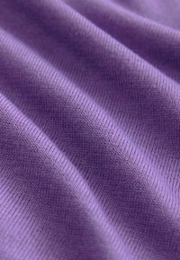 Next CREW NECK - REGULAR FIT - Pulover - purple