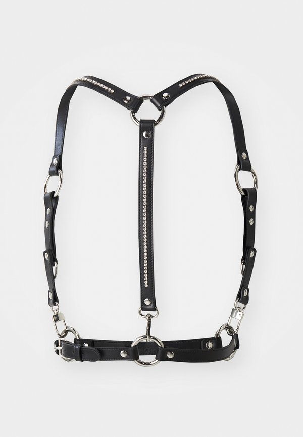 HARNESS - Belt2