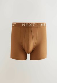 Next A FRONTS 10 PACK - Boxer alsónadrág - blue neutral purple