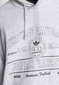 Grå sweatshirt med dragsko i huvan, stora tryckta texter och en logografik. Tyget verkar mjukt med en melerad textur.