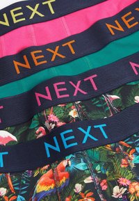 Next PATTERN FOUR PACK - Boxerkalsong - bird pattern