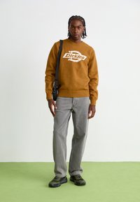 Brauner Strickpullover mit "Dickies"-Logo, graue locker sitzende Jeans und schwarz-grüne Sneakers. Der Hintergrund ist hell und minimalistisch.