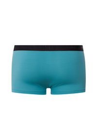 Turkosa kalsonger i mjukt material med en svart elastisk midjeband som har präglad logotyp, skurna i en figurnära stil.