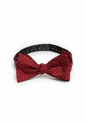 SELF-TIED DOTTED - Fluga - burgundy