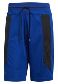 Shorts de sport bleus en tissu respirant avec des panneaux latéraux noirs ornés d'accents perforés ; taille à cordon ajustable.