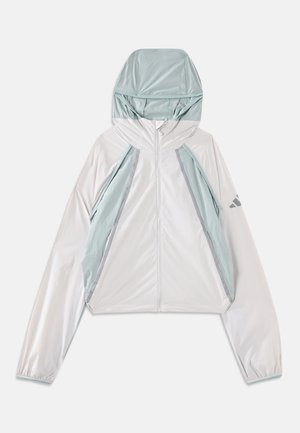 adidas Terrex, Windbreakers - grey one/sage