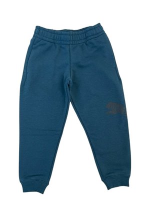 Puma, ESS GRAP PANTS TR COL 36 - Pantaloni sportivi - green