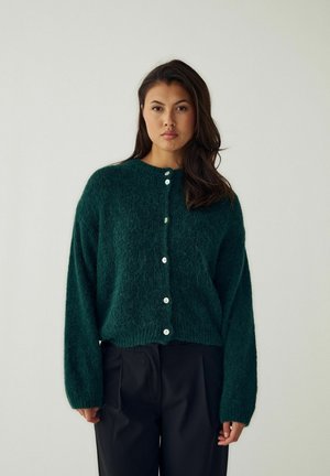 Femme aux longs cheveux foncés portant un cardigan vert foncé duveteux boutonné et un pantalon noir, debout devant un fond clair uni.