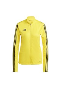 Unselected, team yellow