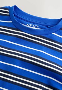 Blue T-shirt with white and navy horizontal stripes and a round neckline, showing the brand label "NEXT" inside the collar.