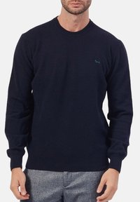 Maglione lavorato a maglia di colore blu navy, con maniche lunghe e scollo rotondo; presenta un piccolo logo di un cane verde sul petto.
