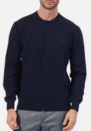Maglione lavorato a maglia di colore blu navy, con maniche lunghe e scollo rotondo; presenta un piccolo logo di un cane verde sul petto.