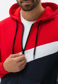 Ombre THREE-COLOR  WITH A HOOD B1419 - Sudadera con cremallera - red