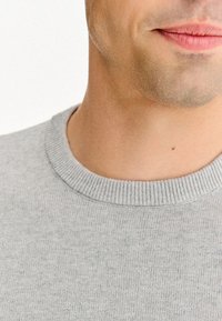 Jasnoszary sweter z prążkowanym okrągłym dekoltem. Tkanina wydaje się miękka i dzianinowa, charakteryzująca się gładką teksturą oraz subtelnymi detalami w szwie.