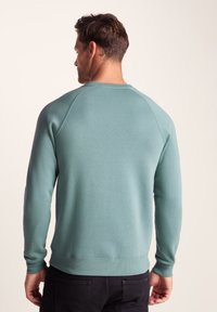 Light teal sweatshirt featuring a crew neck, raglan sleeves, ribbed cuffs and hem, and soft, textured fabric. Back view on a neutral background.