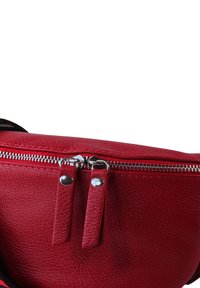 DrachenLeder TOSCANTO - Heuptas - rot mehrfarbig