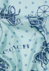 Tecido azul claro com bolas azuis escuras, carroça puxada por cavalos e um cavaleiro, apresentando o logótipo "COACH New York".