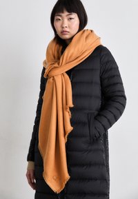 Non sélectionné, lion