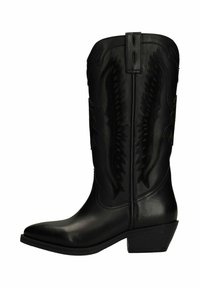 Botte de cowboy en cuir noir avec un bout pointu, un talon mi-haut, et des coutures décoratives sur le haut. Présente une texture lisse et des accents subtils.