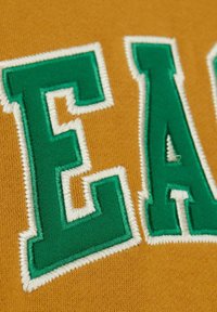 Tessuto dorato con lettere ricamate verdi “E” e “A”. Contorno bianco intorno alle lettere, con una finitura testurizzata.