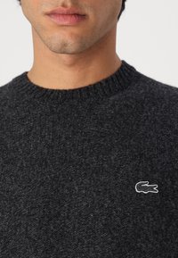 Lacoste Maglione - bitume neps