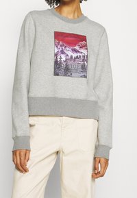 Person som bär en ljusgrå sweatshirt med en grafik av ett röd- och lila berglandskap samt text, tillsammans med beiga byxor, avskuren vid nacke och lår.