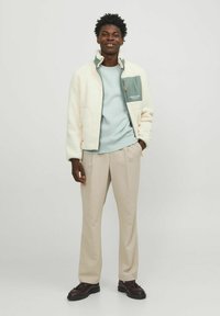 Jack & Jones JORVESTERBRO CREW NECK - Sweater - skylight