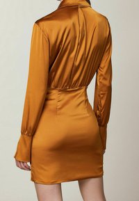 Abito di raso di colore arancione bruciato con maniche lunghe, colletto e vita aderente, caratterizzato da una cucitura sul retro e polsini delle maniche svasati.