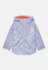 MIGHTY MOGUL III PRINTED UNISEX - Ski jacket - snowdrift