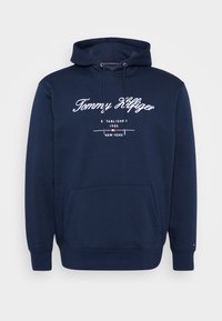 SCRIPT LOGO HOODY - Sportinis megztinis - desert sky