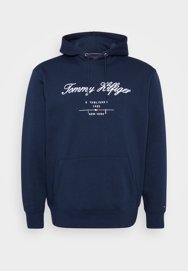 SCRIPT LOGO HOODY - Sweatshirt - desert sky4