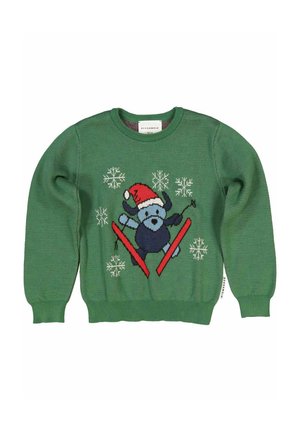 CHRISTMAS SANTA DODDI - Striktrøje - green