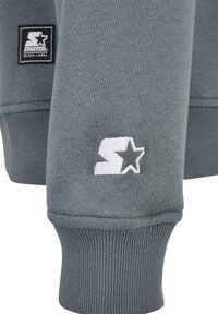 Felpa grigia con polsini a coste, scollo arrotondato e logo bianco ricamato con una stella sulla manica.