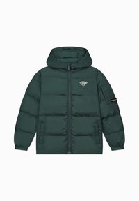 Groene pufferjack met een capuchon, ritssluiting aan de voorkant en elastische manchetten. Heeft een logo op de borst en twee zijzakken. Glad, geïsoleerd textuur.