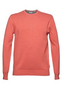 Korallenfarbener Rundhalspullover aus weichem Strickstoff. Verfügt über lange Ärmel, gerippte Bündchen und einen geraden Saum. Einfaches Design, ohne Muster.