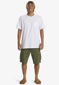 Quiksilver CRUCIAL BATTLE WALK - Šortky - gph0