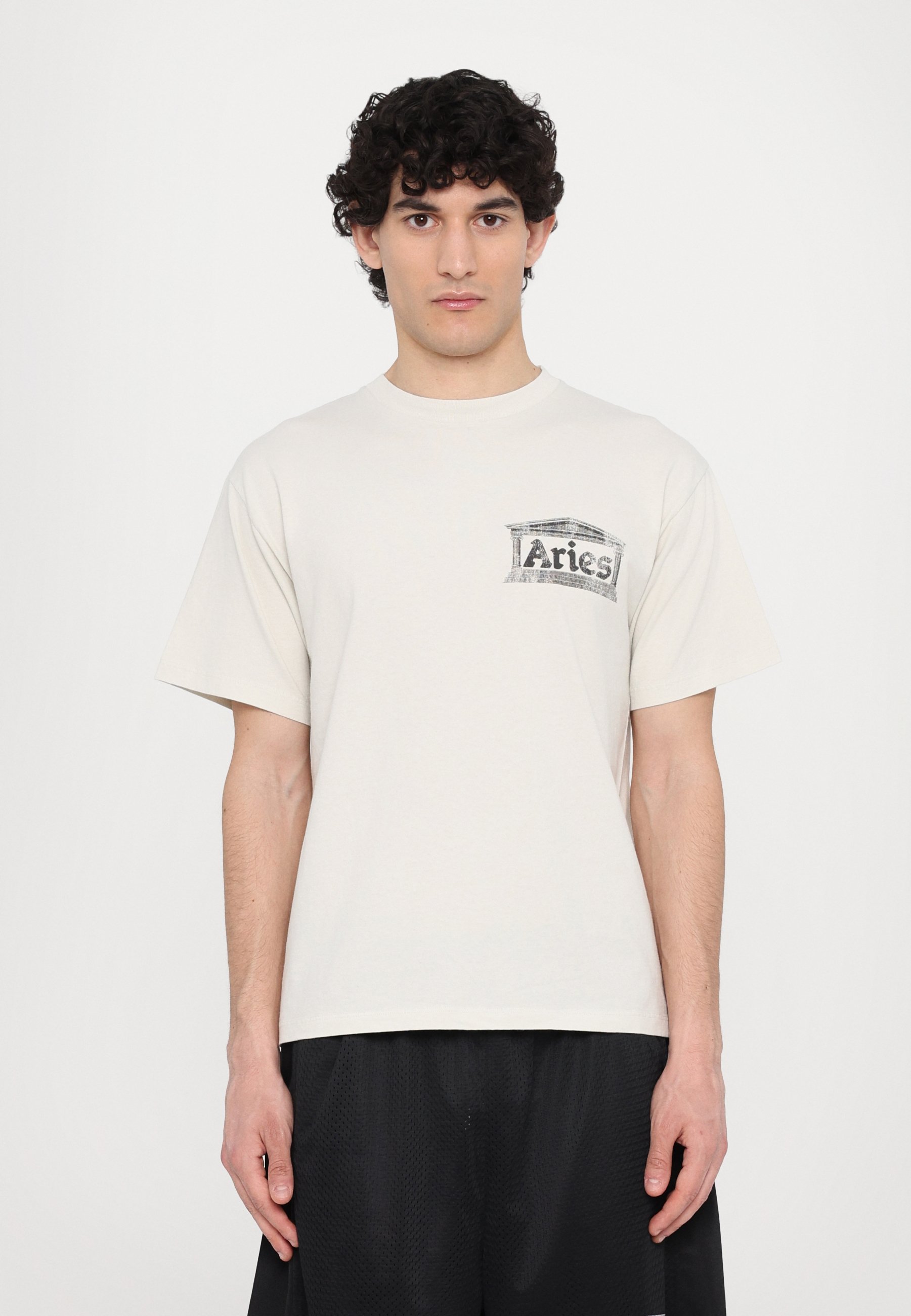 ★ARIES Aged Ancient Temple T-Shirt 関税込★ Aged Ancient Temple SS Tee Blue – Aries